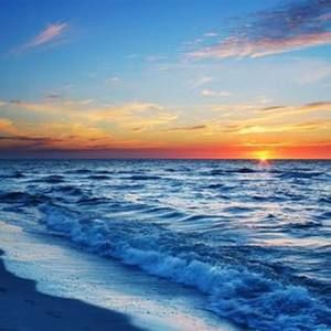 Meet your Posher, Rita